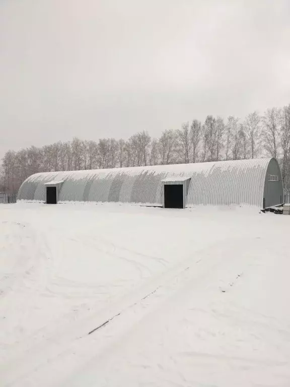 Склад в Новосибирская область, Новосибирск Золотая осень садовое ... - Фото 0