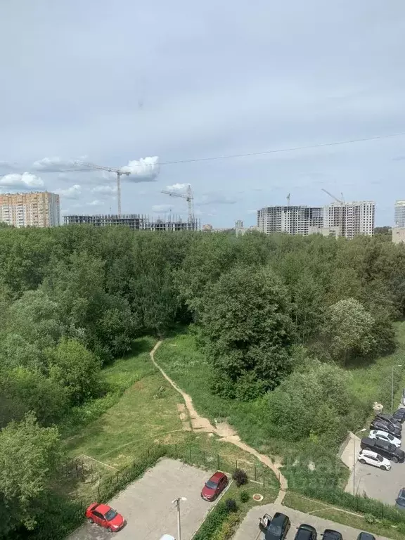 3-к кв. Владимирская область, Владимир Университетская ул., 11 (91.3 ... - Фото 0