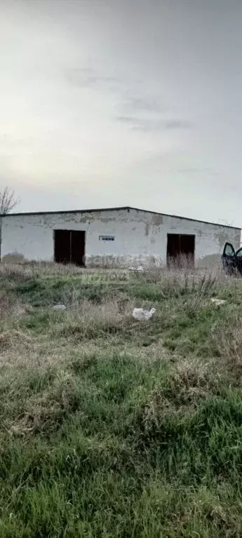 Помещение свободного назначения в Крым, Симферопольский район, ... - Фото 1