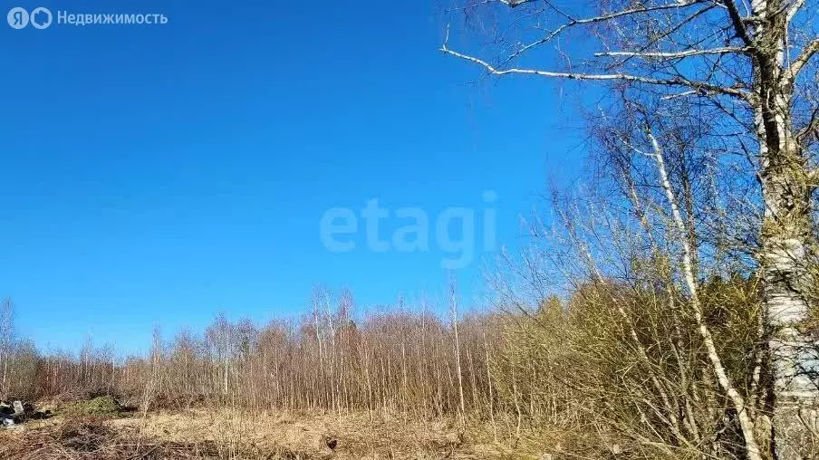 Участок в Сергиево-Посадский городской округ, садоводческое ... - Фото 1