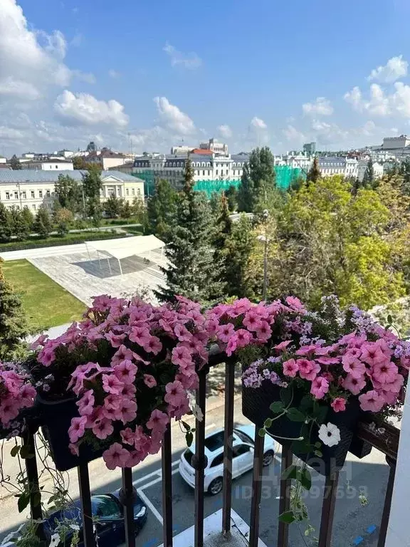 2-к кв. Татарстан, Казань ул. Дзержинского, 16 (60.0 м) - Фото 2