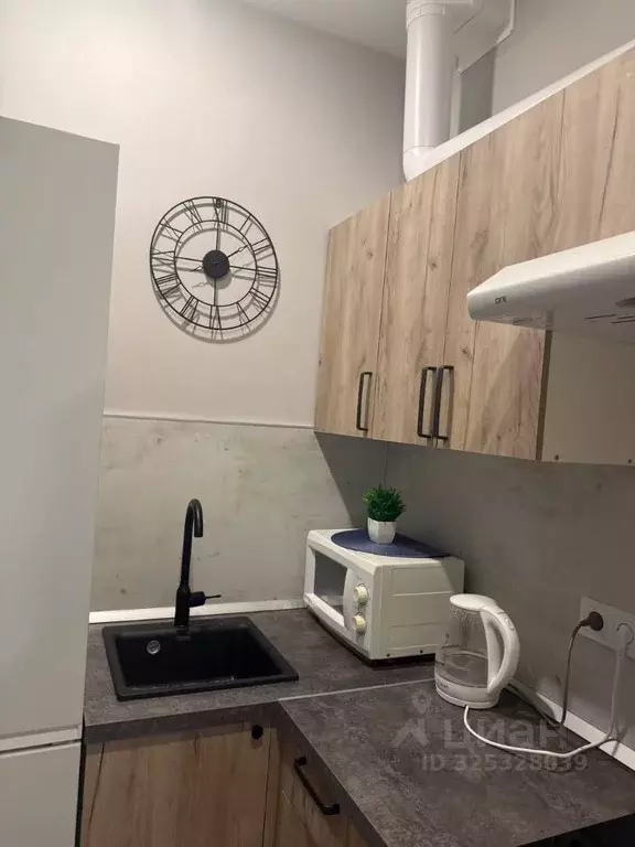 Студия Москва № 160 кв-л, 1Вк2 (24.0 м) - Фото 2