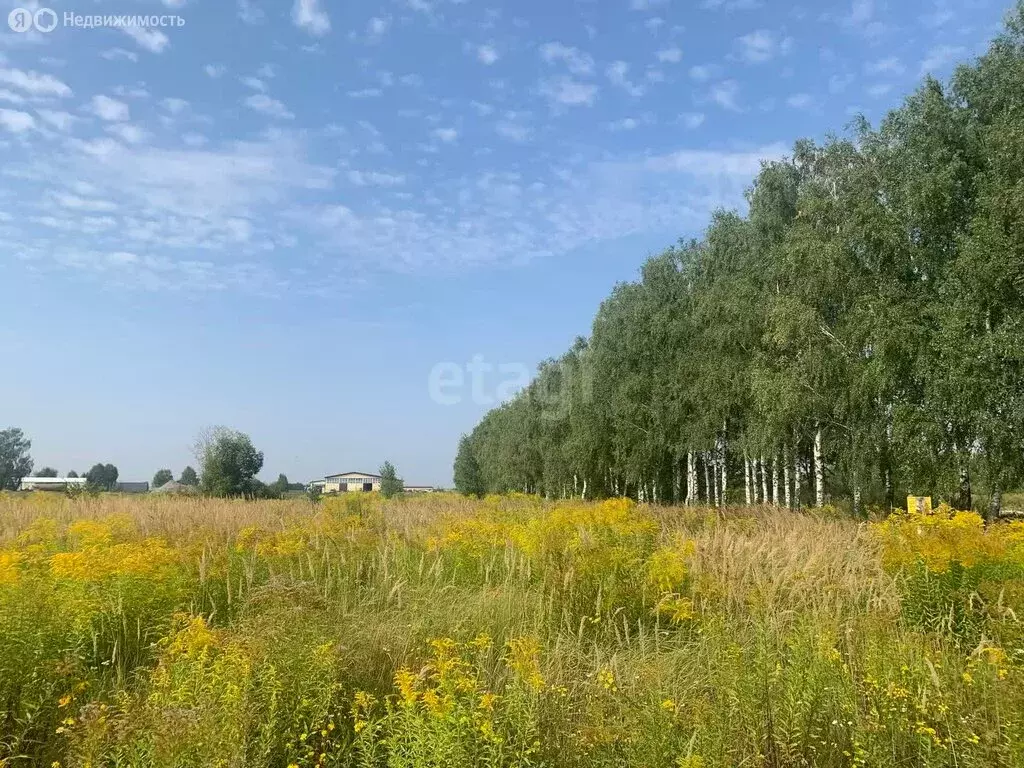 Участок в село Октябрьское, Нагорная улица (17.5 м) - Фото 0