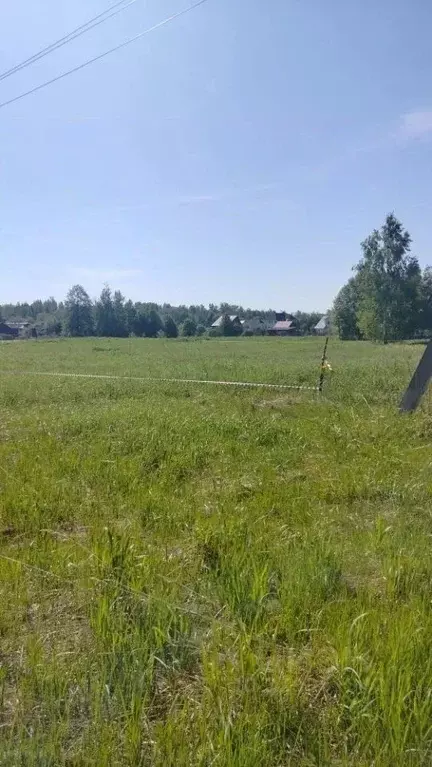 Участок в Московская область, Коломна  (12.0 сот.) - Фото 1