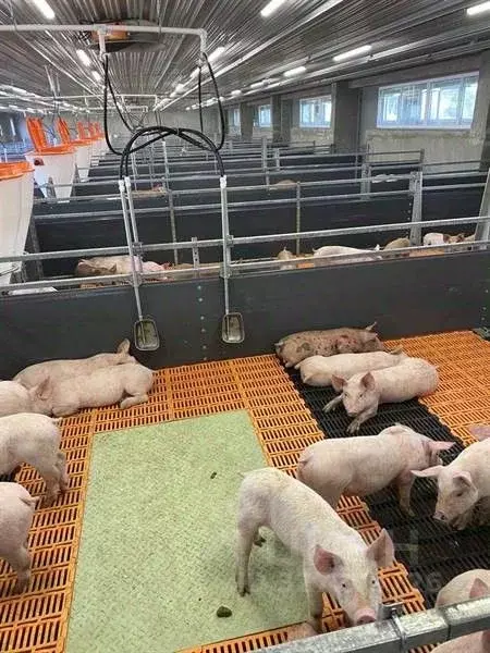 Производственное помещение в Алтайский край, Тальменский район, с. ... - Фото 1