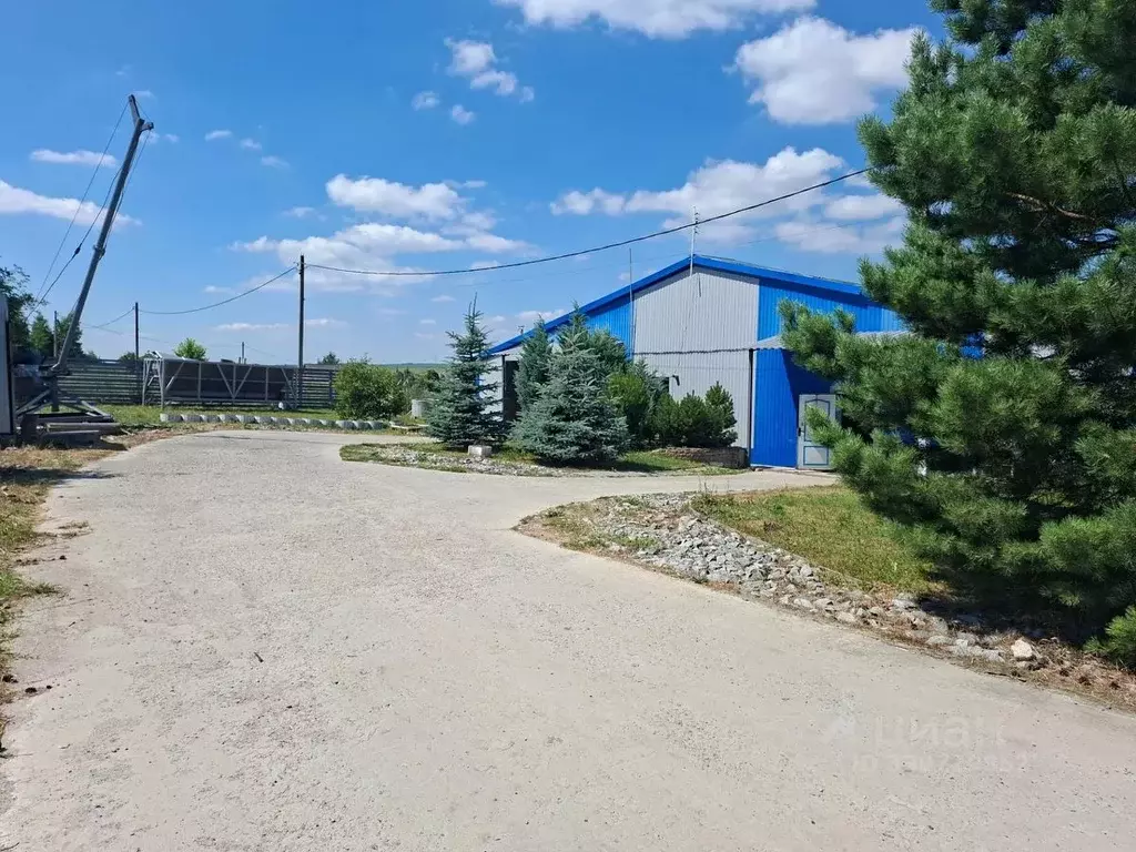 Помещение свободного назначения в Белгородская область, Белгородский ... - Фото 1