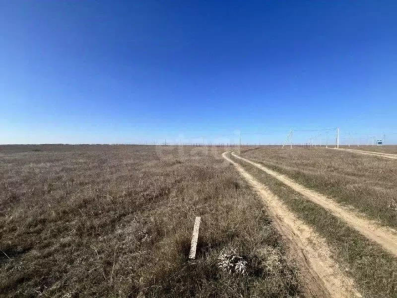 Участок в Крым, Черноморский район, Оленевское с/пос, с. Оленевка  ... - Фото 1