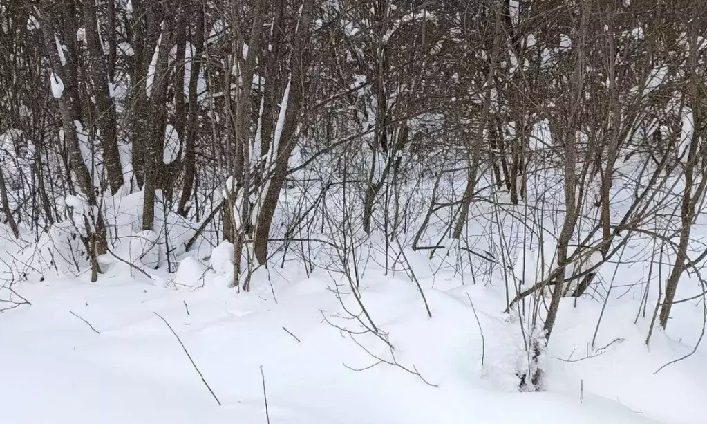 Участок в Московская область, Чехов  (7.19 сот.) - Фото 1