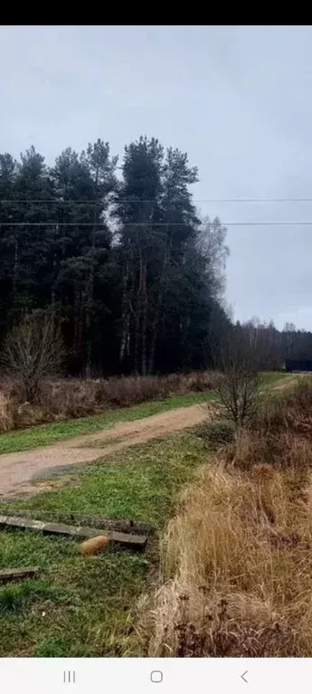 Участок в Владимирская область, Александровский муниципальный округ, ... - Фото 1