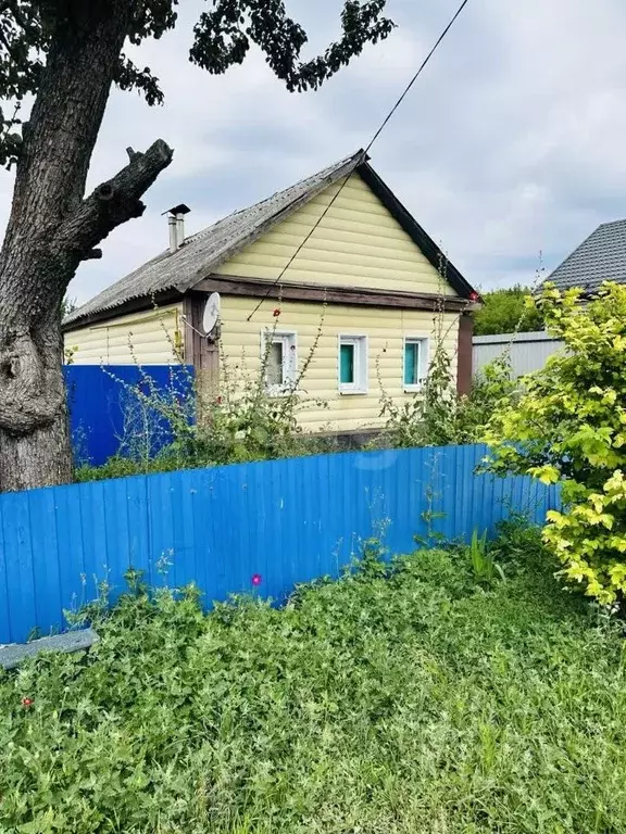 Дом в Белгородская область, Алексеевский муниципальный округ, с. ... - Фото 0