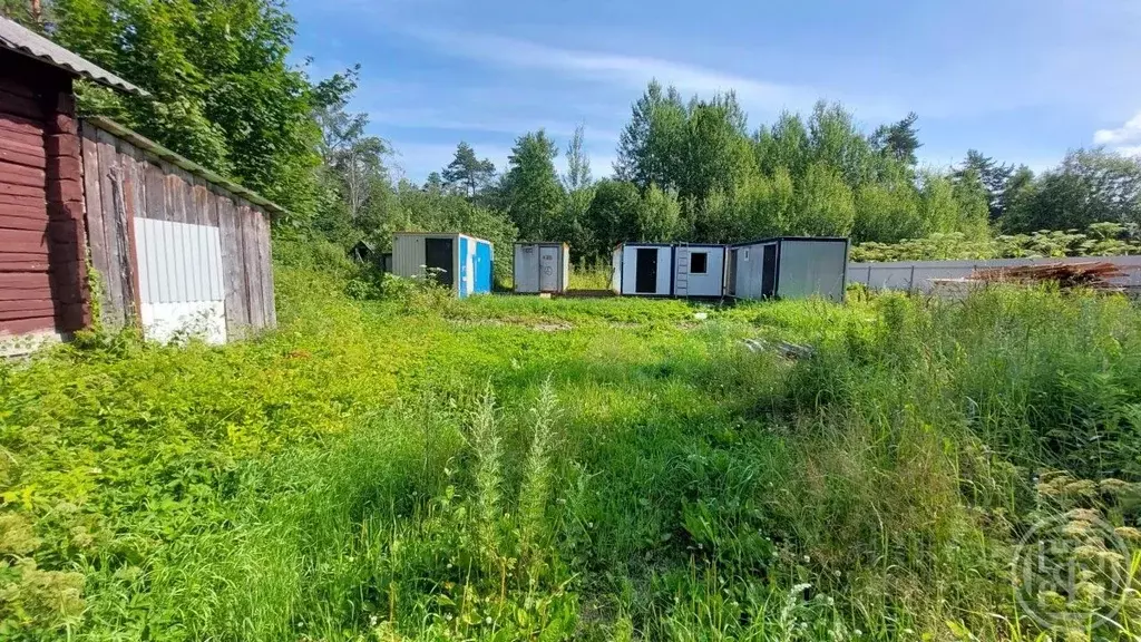 Участок в Ленинградская область, Выборгский район, Приморское ... - Фото 1
