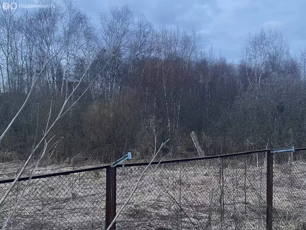 Участок в Московская область, муниципальный округ Истра, деревня ... - Фото 2