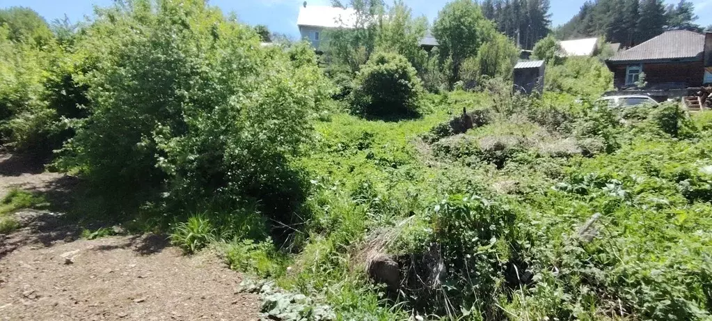 Участок в Алтай, Горно-Алтайск Красногвардейская ул., 124 (6.0 сот.) - Фото 1