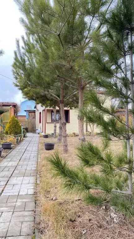 Дом в Омская область, Омск СОСН Энергетик-1 тер.,  (60 м) - Фото 2