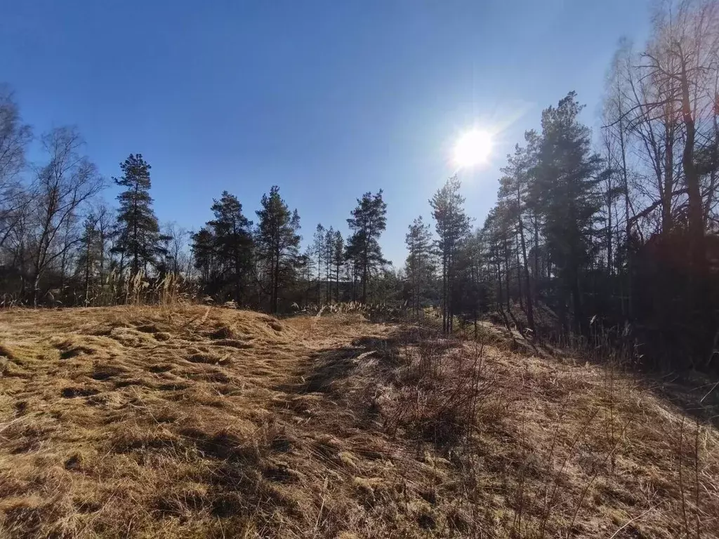 Дом в Ленинградская область, Лужский район, Толмачево городской ... - Фото 1