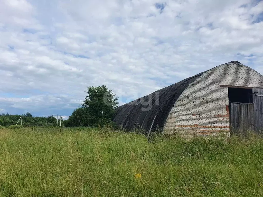 Склад в Псковская область, Островский муниципальный округ, д. Рубилово ... - Фото 2