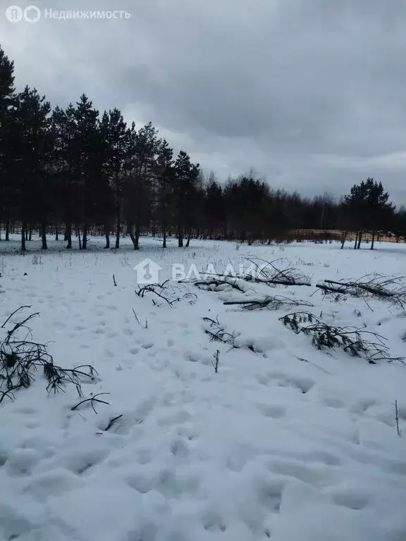 Участок в Кабанский район, село Сухая (100 м) - Фото 0