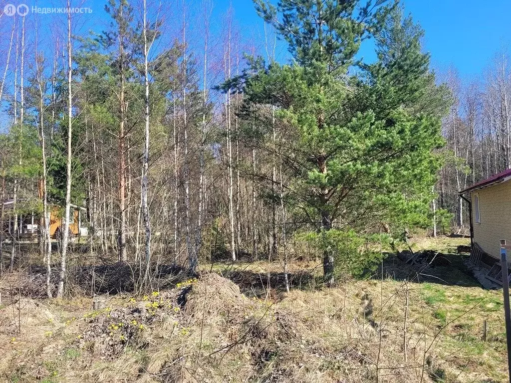 Участок в Лебяженское городское поселение, садоводческое ... - Фото 0