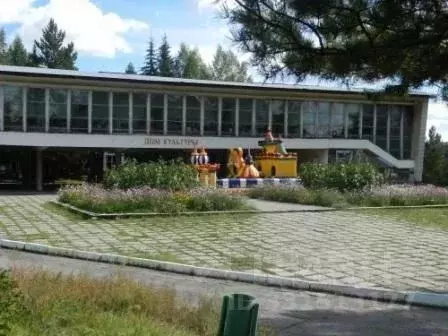Помещение свободного назначения в Забайкальский край, Карымский ... - Фото 1