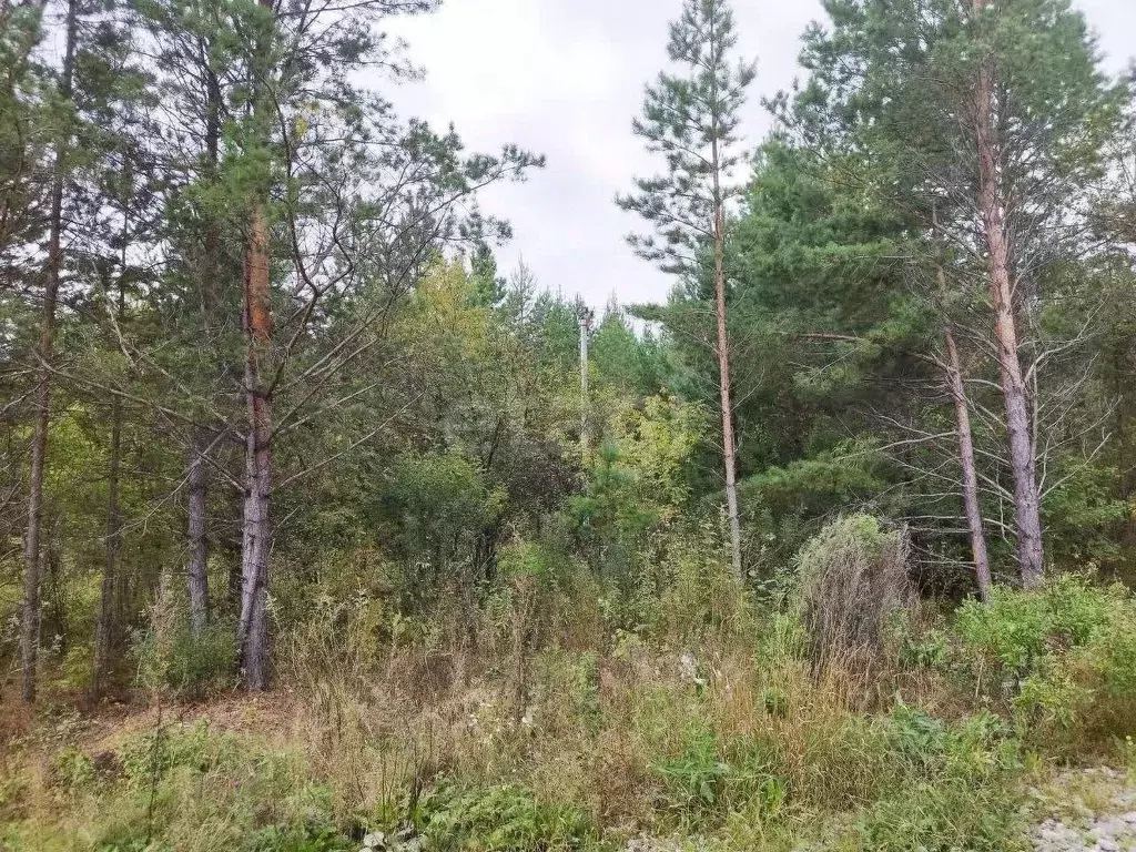 Участок в Свердловская область, Талица ул. Луначарского (10.0 сот.) - Фото 1