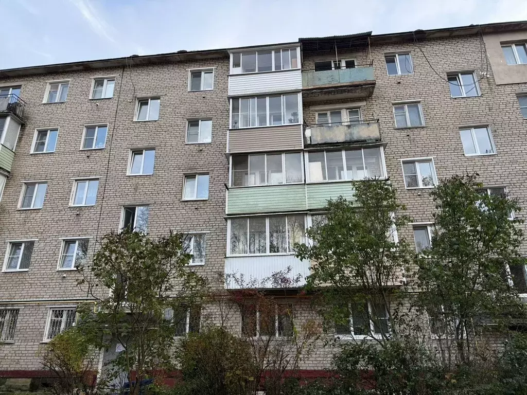 1-к кв. Московская область, Можайск ул. 20 Января, 13 (32.0 м) - Фото 1