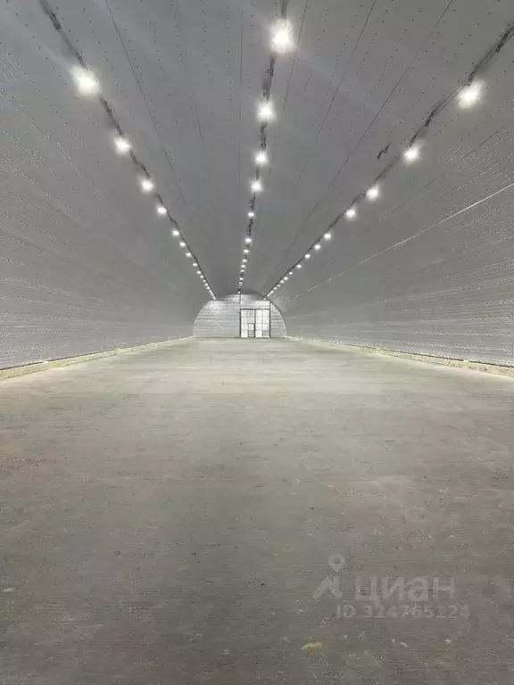 Склад в Московская область, Домодедово городской округ, д. Немцово 12 ... - Фото 1