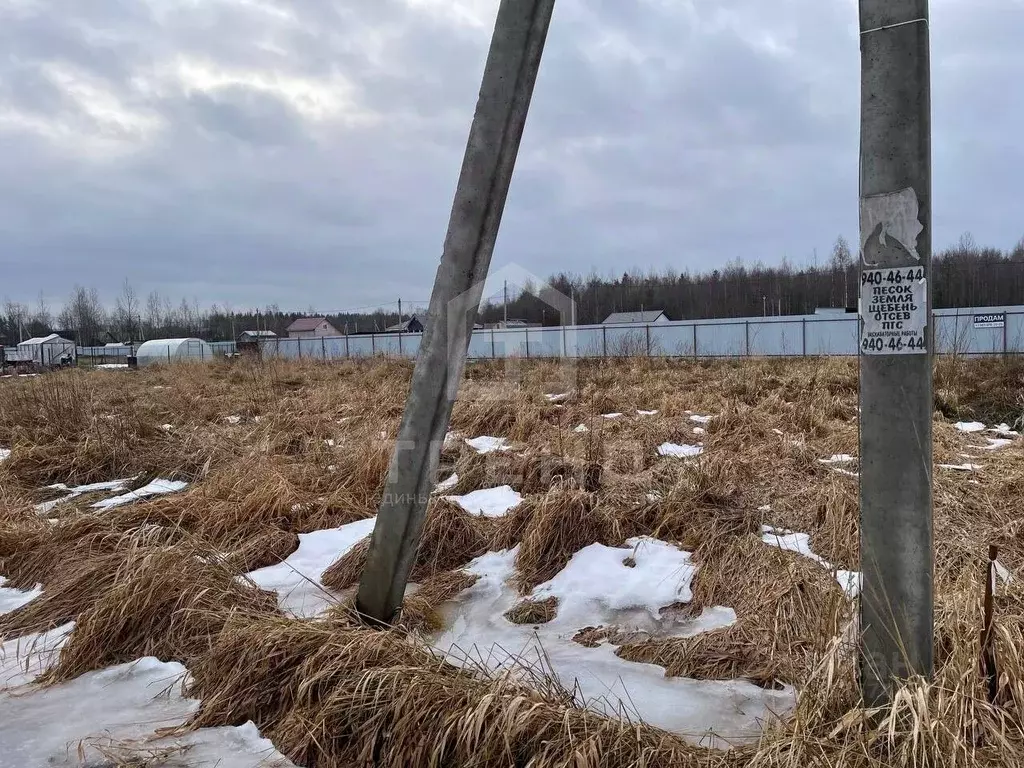 Участок в Ленинградская область, Всеволожский район, Романовское ... - Фото 0