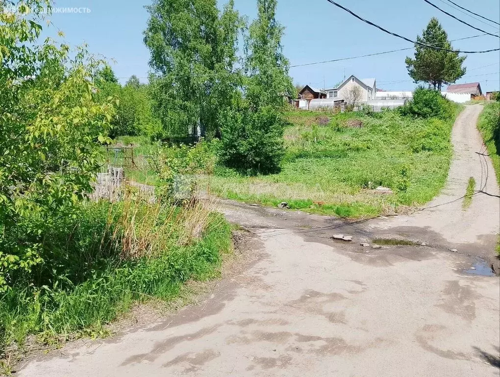 Участок в Новосибирск, НСТ Ветеран, Цветочная улица, 2 (4 м) - Фото 2