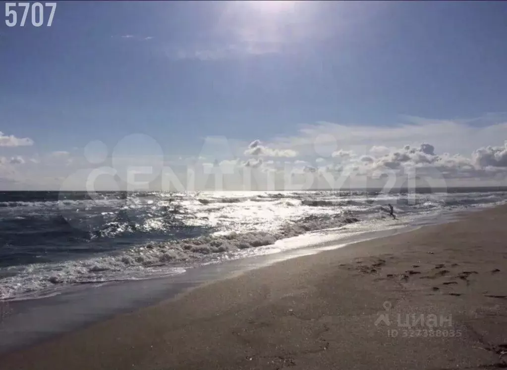 Участок в Крым, Черноморский район, с. Окуневка  (4.0 сот.) - Фото 2