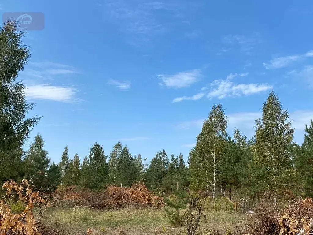 Участок в Воронежская область, Новоусманский район, с. Бабяково ул. ... - Фото 1