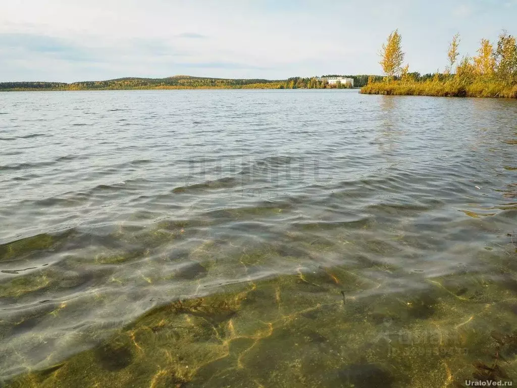 Участок в Свердловская область, Екатеринбург просп. Ленина (51013.0 ... - Фото 2