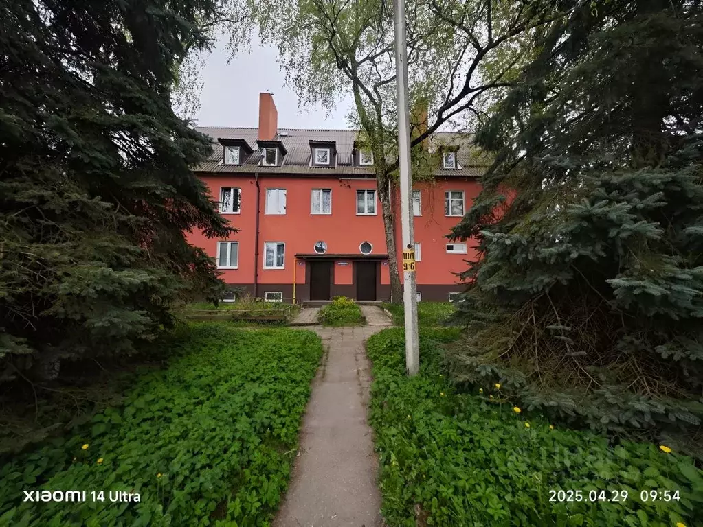 Комната Калининградская область, Калининград ул. Белинского, 39 (22.0 ... - Фото 0
