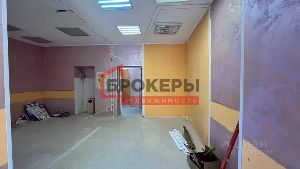 Помещение свободного назначения в Севастополь ул. Супруна, 16 (61 м) - Фото 1