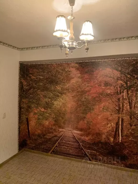 3-к кв. Калужская область, Калуга Воскресенский пер., 19 (48.0 м) - Фото 2