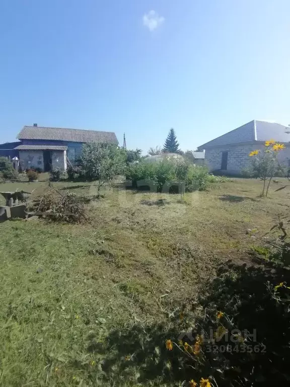 Дом в Брянская область, Жирятинское с/пос, д. Старое Каплино ул. ... - Фото 2