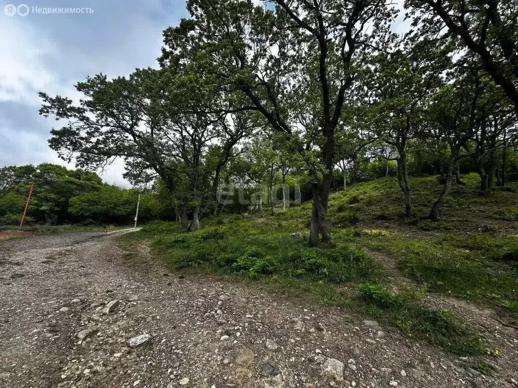 Участок в Лучистое, переулок Шумский Яр (5.5 м) - Фото 2