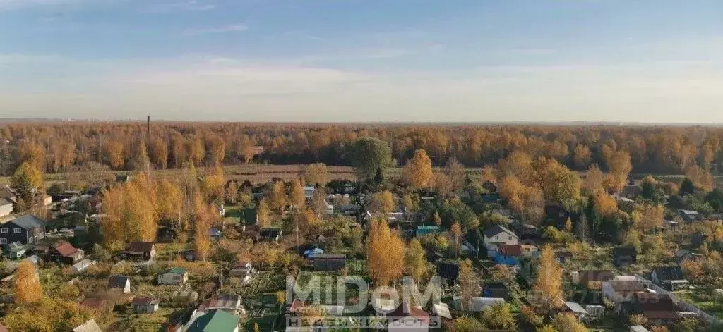 Студия Санкт-Петербург дор. Муринская, 11к3 (20.0 м) - Фото 1