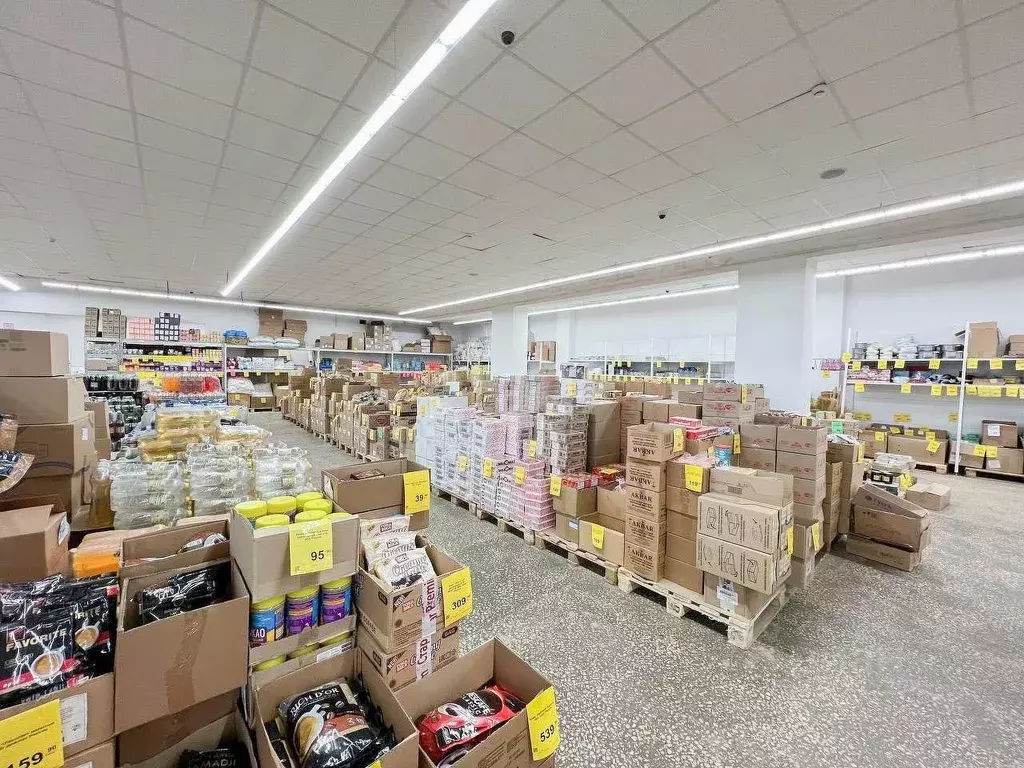 Торговая площадь в Ярославская область, Ярославль ул. Лебедева, 3 (525 ... - Фото 2