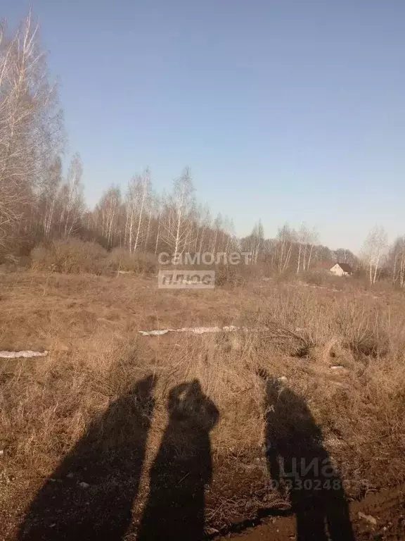 Участок в Липецкая область, Добровский муниципальный округ, с. Большой ... - Фото 1