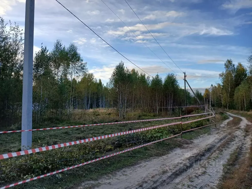 Участок в Рязанская область, Спасский муниципальный округ, с. Ярустово ... - Фото 1