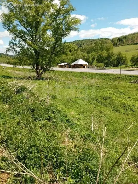 Участок в Чойский район, село Сугул, Поселковая улица (2500 м) - Фото 1