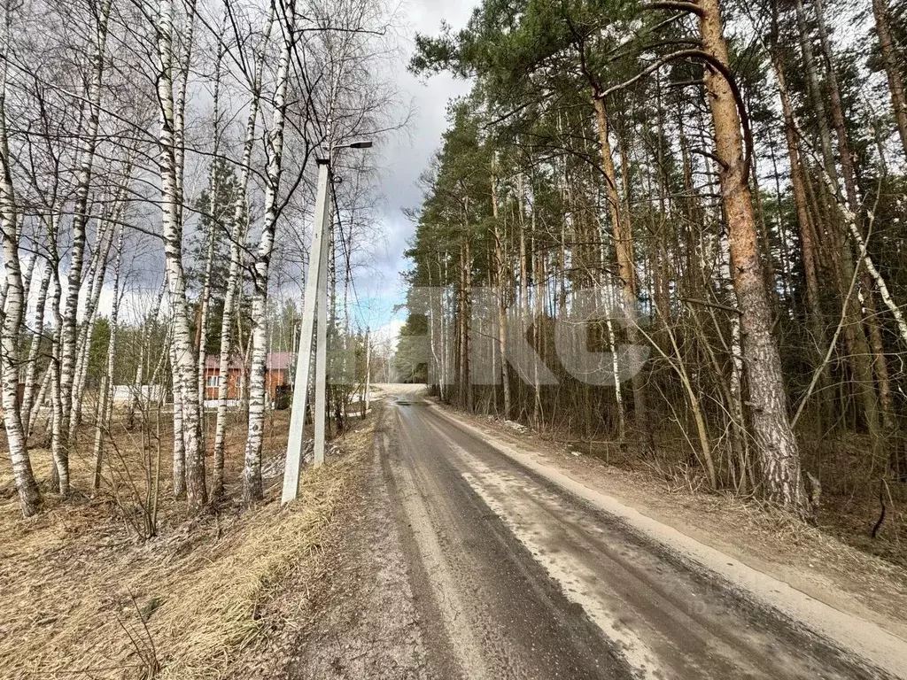 Участок в Московская область, Орехово-Зуевский городской округ, с. ... - Фото 1