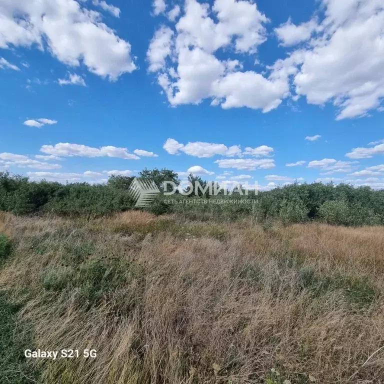 Участок в Ростовская область, Октябрьский район, Кривянское с/пос, ... - Фото 2