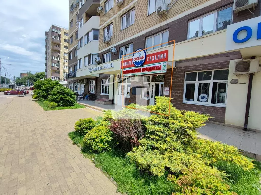 Помещение свободного назначения в Краснодарский край, Краснодар ... - Фото 0