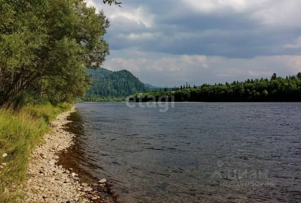 Участок в Алтай, Турочакский район, с. Артыбаш ул. Юртокская (25.0 ... - Фото 0