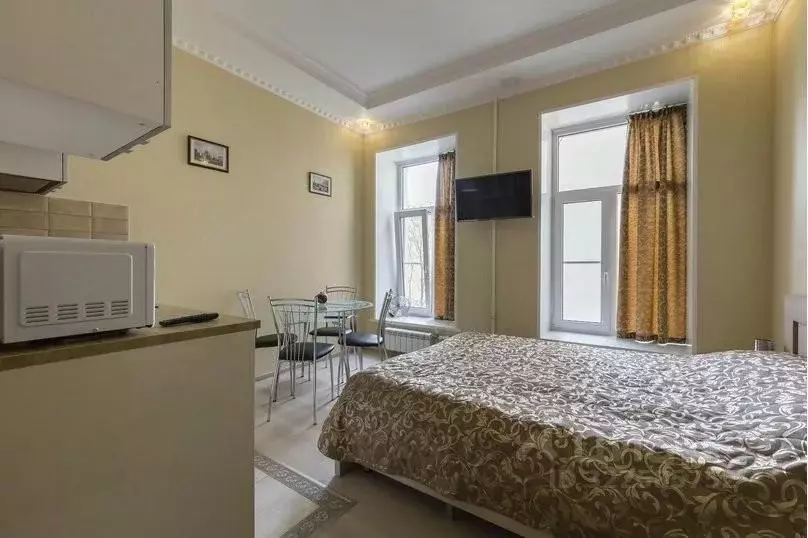 1-к кв. Санкт-Петербург наб. Реки Мойки, 12 (25.0 м) - Фото 2