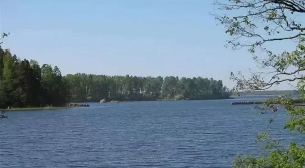 Участок в Ленинградская область, Выборг ул. Системная (27.0 сот.) - Фото 1