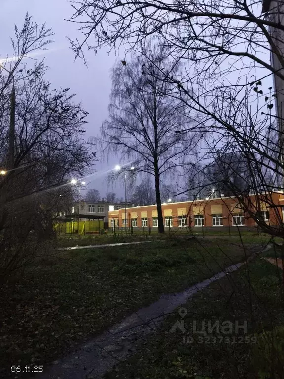 2-к кв. Псковская область, Псков Народная ул., 43 (42.6 м) - Фото 2