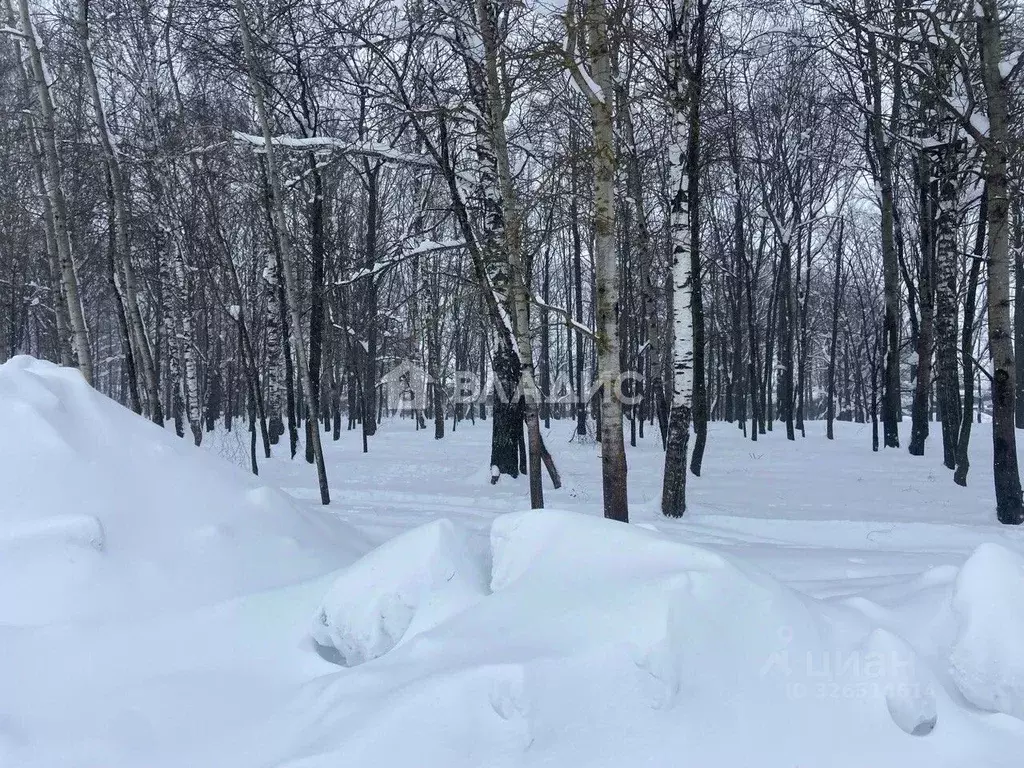 Участок в Нижегородская область, Нижний Новгород ДНП Земляничная ... - Фото 2