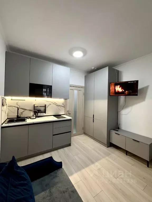 Студия Санкт-Петербург аллея Арцеуловская, 9 (25.0 м) - Фото 1